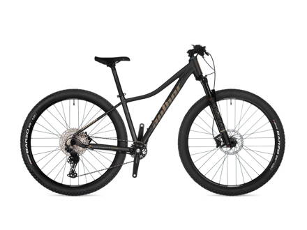 BICYKEL AUTHOR CONTEXT ASL 2025 MATNÁ ŠEDÁ/ZLATÁ