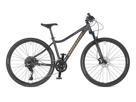 BICYKEL AUTHOR CODEX ASL 2025 ŠEDÁ/ZLATÁ