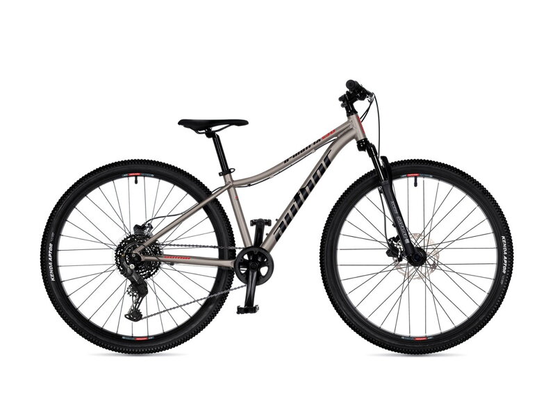 BICYKEL AUTHOR A-MATRIX 29 DISC 2026 MATNÁ: TITÁNOVÁ