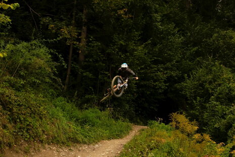 Ako si správne vybrať bicykel AUTHOR